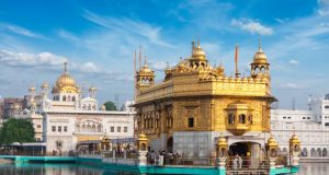 Wildlife & Cultural Highlights of India