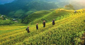 Vietnam & Cambodia: Golf along the Mekong