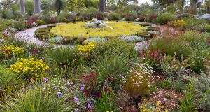 WA Wildflowers, Landscapes & Private Gardens
