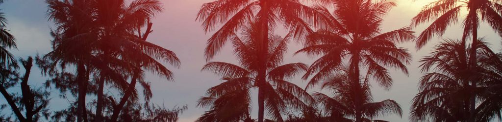 Travel Inspiration