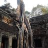 Recent Destinations - Cara - Mekong