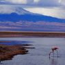 Atacama Desert