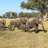 Zambezi River & Hwange Safari