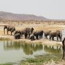 Southern African Safari