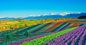 Hokkaido